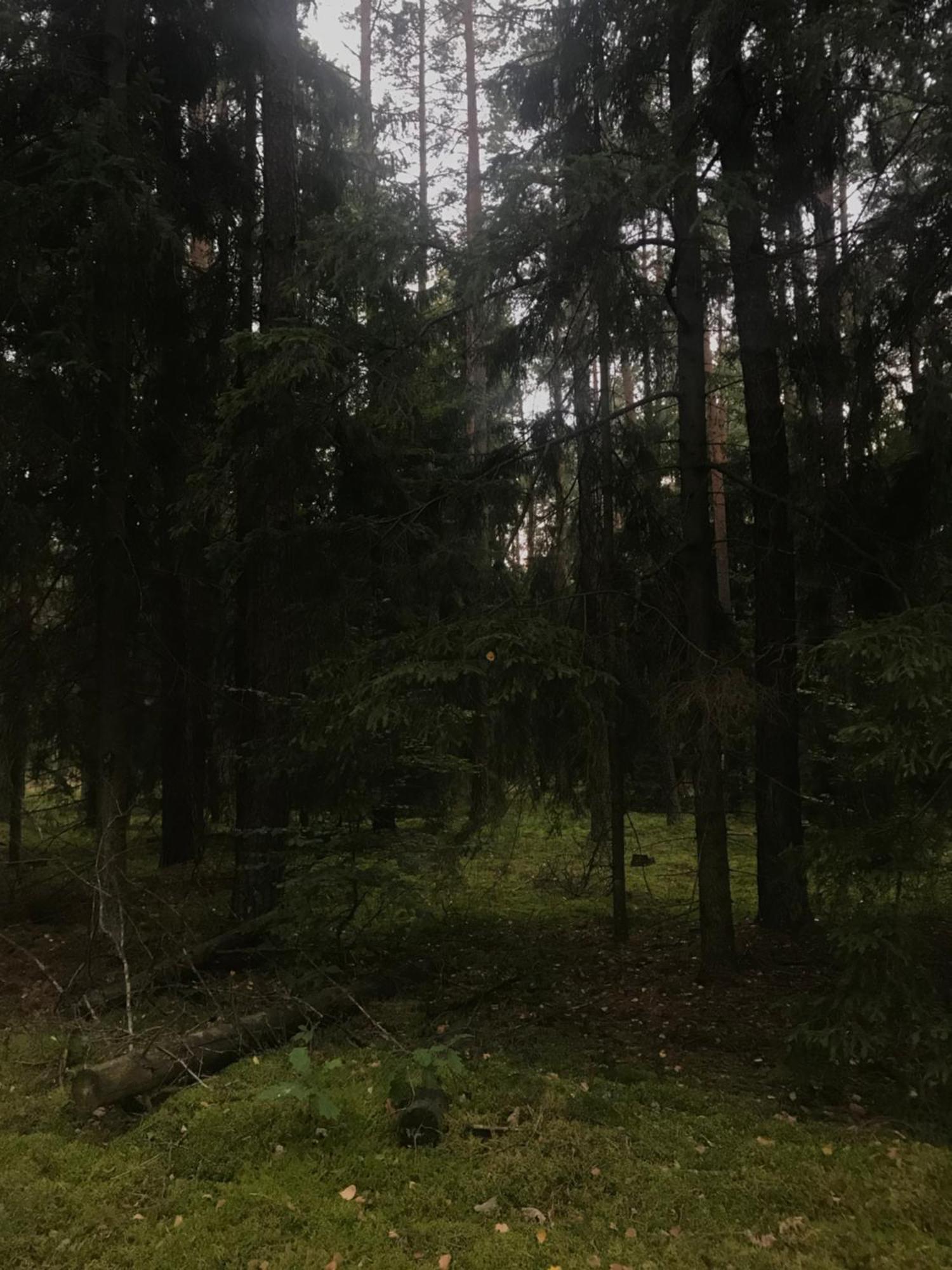 Gapkowo Villa Stare Kiejkuty Kültér fotó